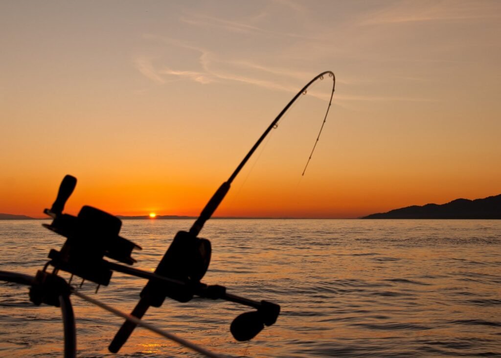 jaco sportfishing