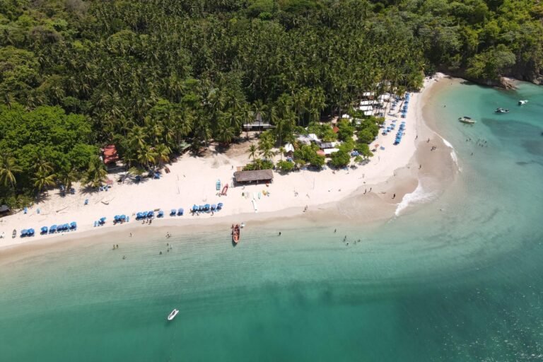 jaco playa hermosa tours