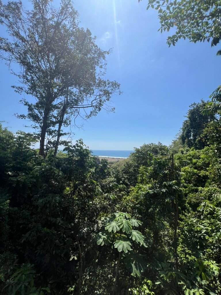 playahermosa costarica view